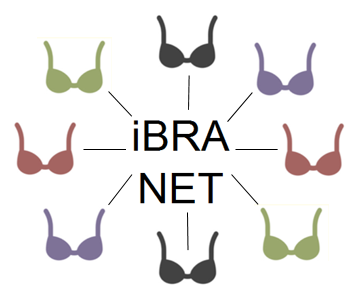 ibra-net-logo