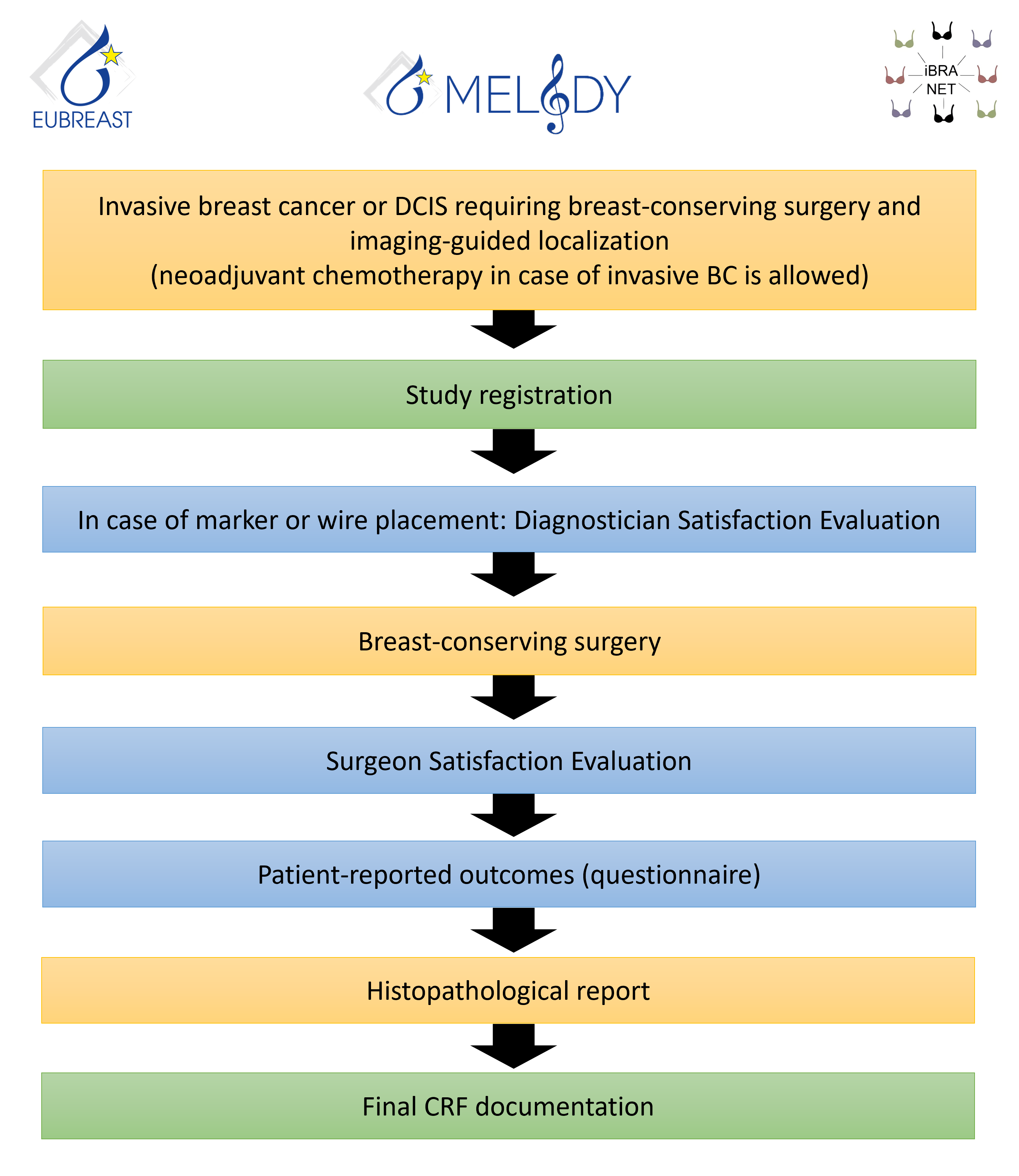 MELODY_Flow chart_2022-12-19_add-1